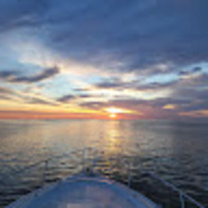 Meet your Posher, Corey